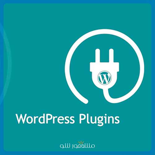 راهنمای انتخاب افزونه‌ های کاربردی فروشگاه اینترنتی